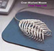 mouse.jpg